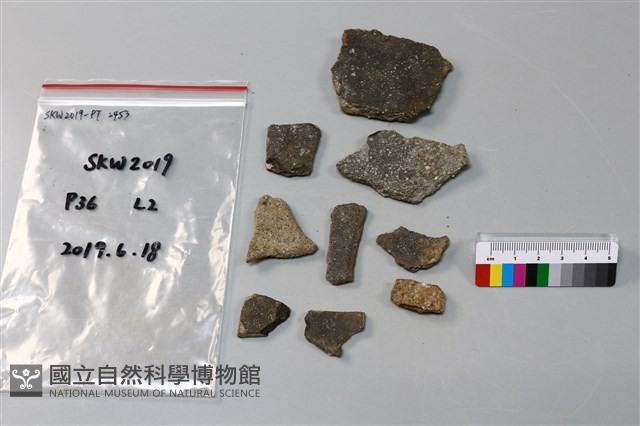 陶片藏品圖，第2張