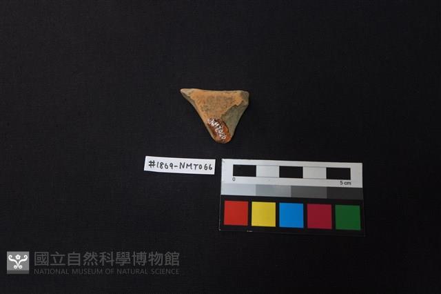 陶片藏品圖，第2張