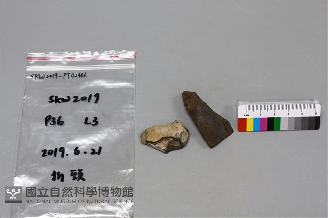 陶片藏品圖，第2張