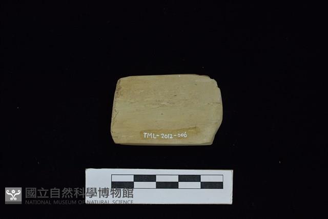 錛鑿形器藏品圖，第2張