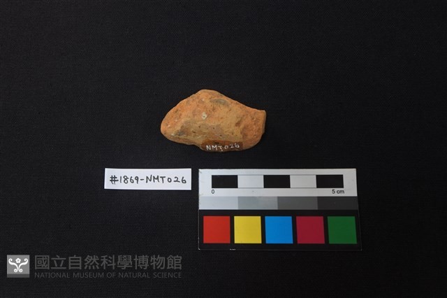 陶片藏品圖，第2張