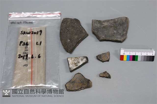 陶片藏品圖，第2張