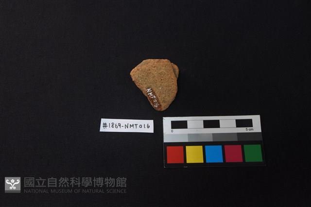 陶片藏品圖，第2張