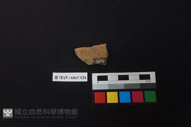 陶片藏品圖，第2張