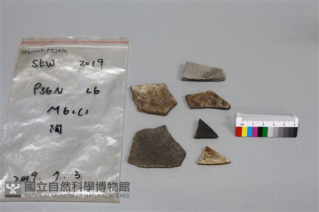 陶片藏品圖，第2張