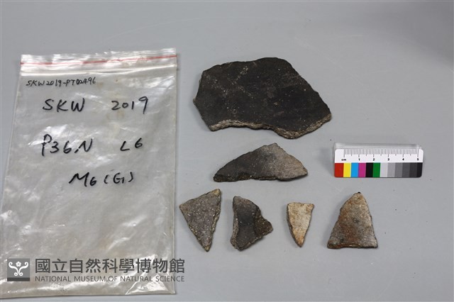 陶片藏品圖，第2張