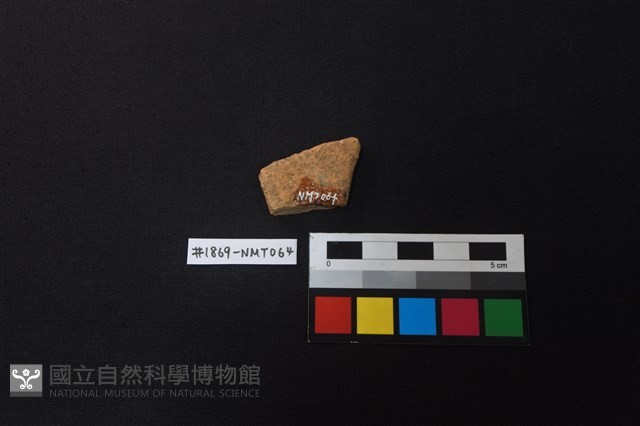 陶片藏品圖，第2張