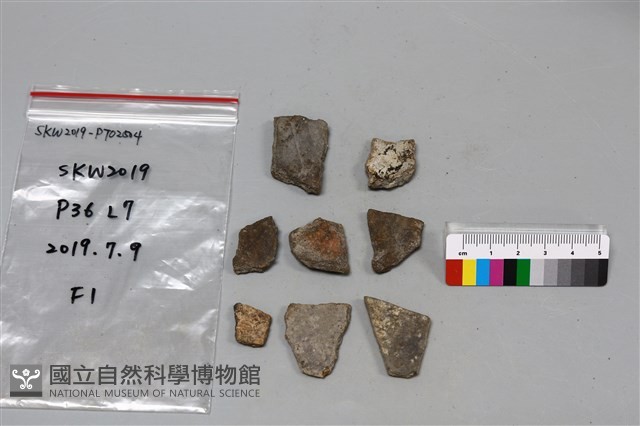 陶片藏品圖，第2張