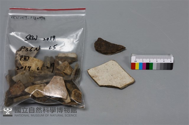 陶片藏品圖，第2張