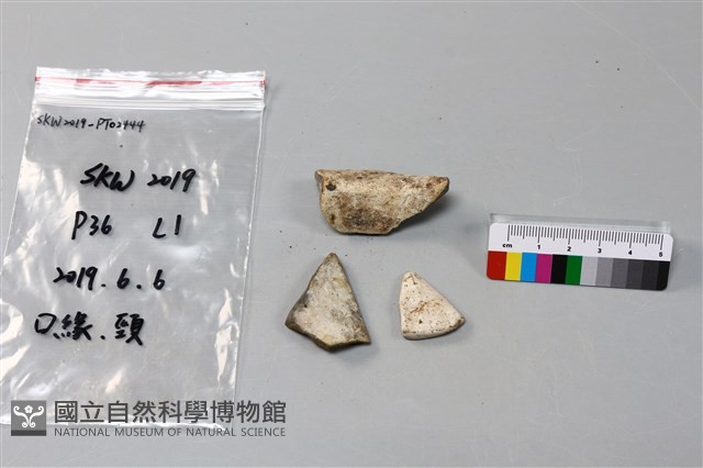 陶片藏品圖，第2張