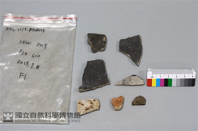 陶片藏品圖，第2張