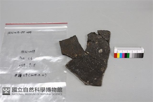 陶片藏品圖，第2張
