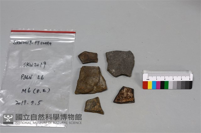 陶片藏品圖，第2張