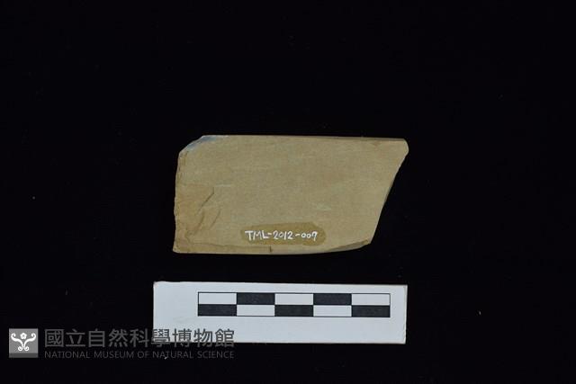 錛鑿形器藏品圖，第2張