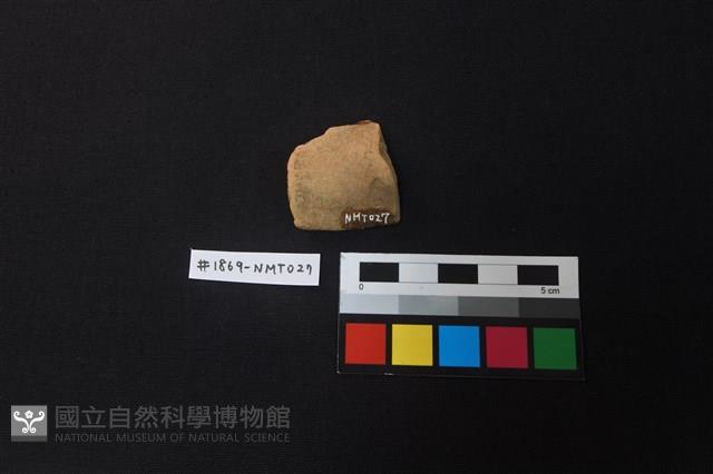 陶片藏品圖，第2張