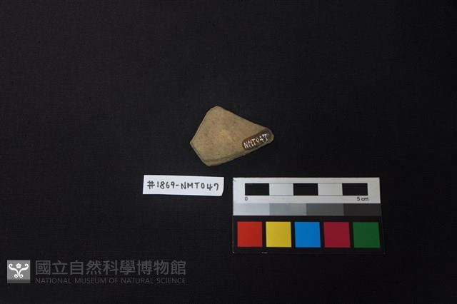 陶片藏品圖，第2張