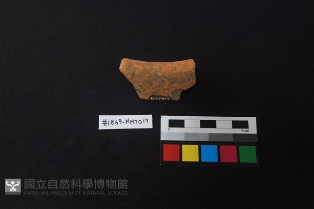 陶片藏品圖，第2張
