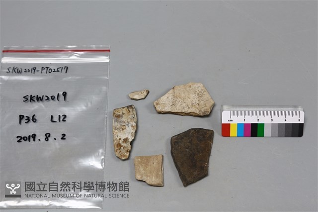 陶片藏品圖，第2張