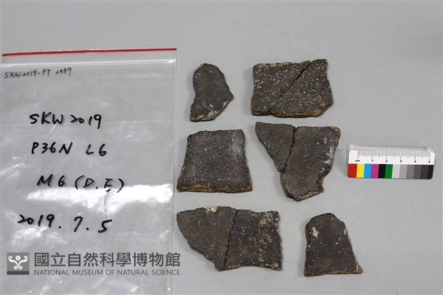 陶片藏品圖，第2張