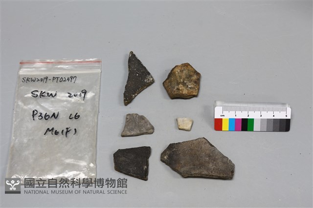 陶片藏品圖，第2張