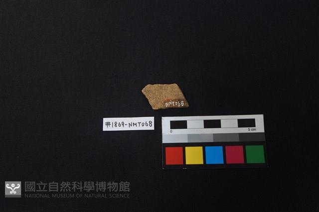 陶片藏品圖，第2張