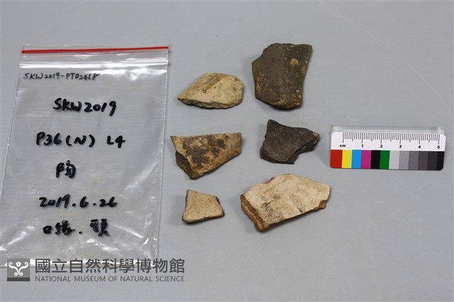 陶片藏品圖，第2張