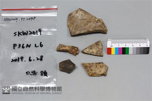 陶片藏品圖，第2張