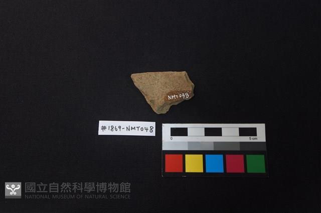 陶片藏品圖，第2張