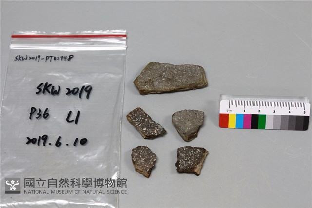 陶片藏品圖，第2張