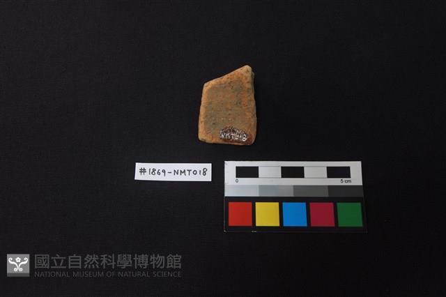 陶片藏品圖，第2張