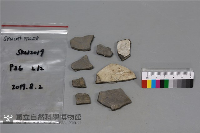 陶片藏品圖，第2張