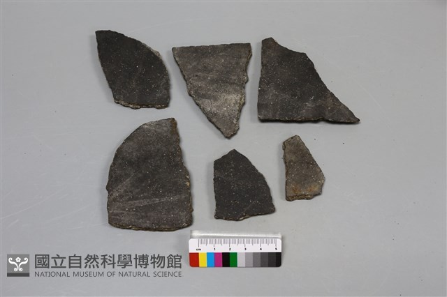 陶片藏品圖，第2張