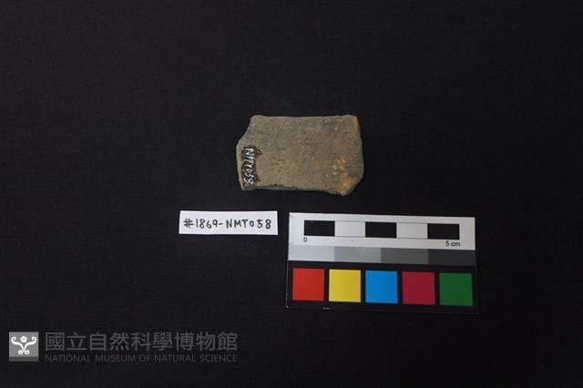 陶片藏品圖，第2張