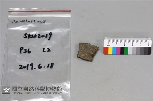陶片藏品圖，第2張