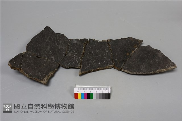 陶片藏品圖，第4張
