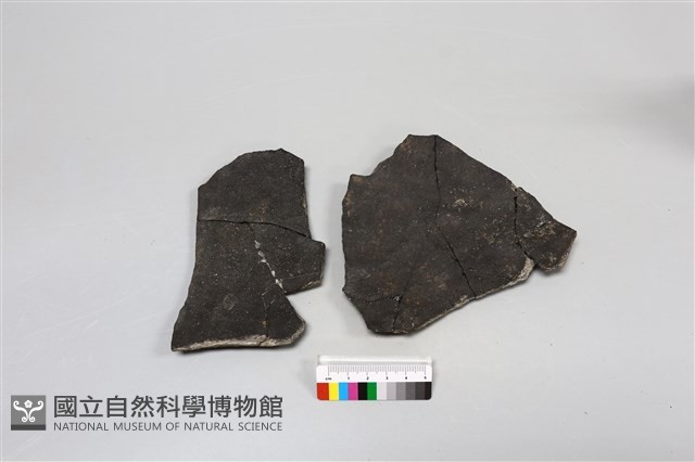陶片藏品圖，第4張
