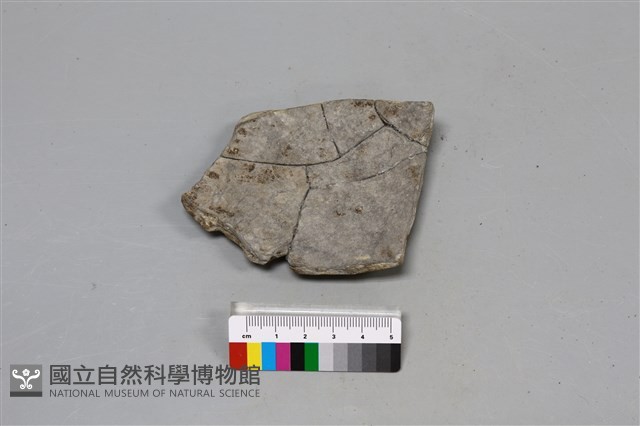 陶片藏品圖，第4張