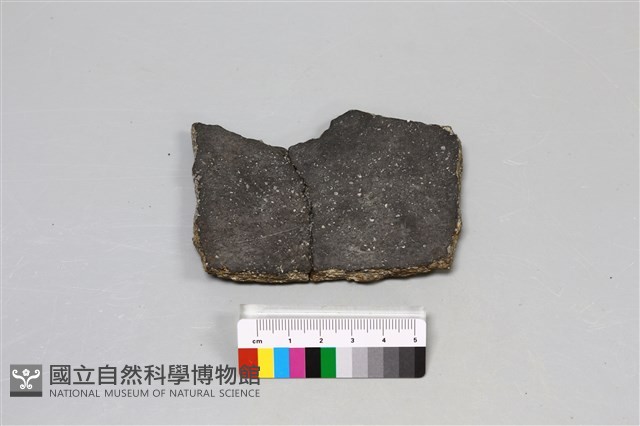 陶片藏品圖，第4張