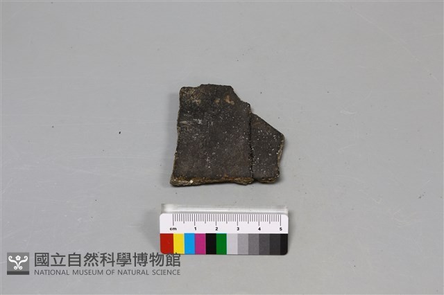 陶片藏品圖，第4張