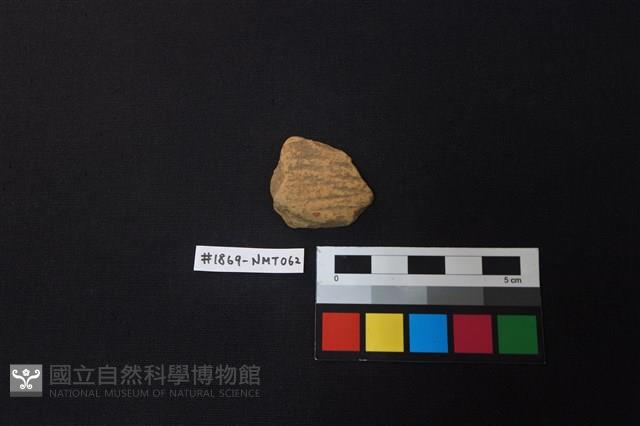 陶片藏品圖，第1張