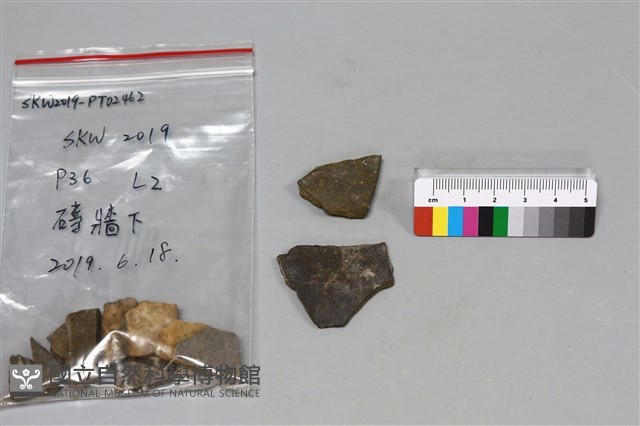 陶片藏品圖，第1張