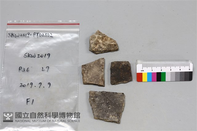 陶片藏品圖，第1張