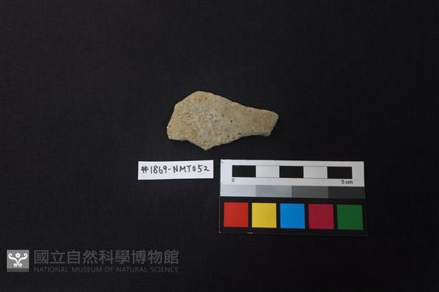 陶片藏品圖，第1張