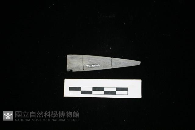 矛鏃形器藏品圖，第1張