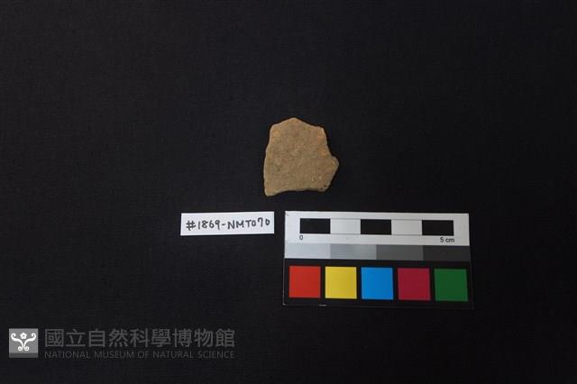 陶片藏品圖，第1張