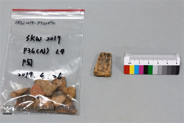 陶片藏品圖，第1張