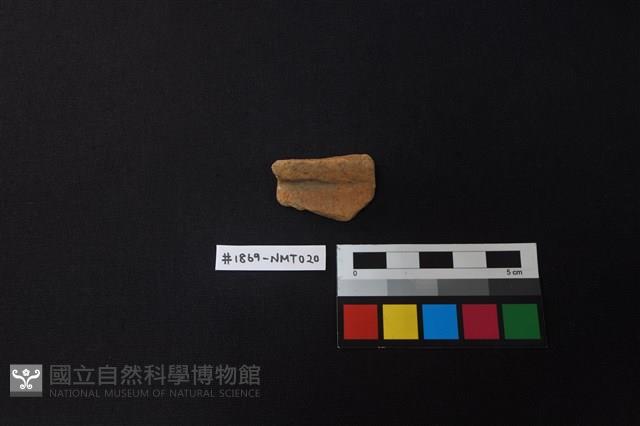 陶片藏品圖，第1張