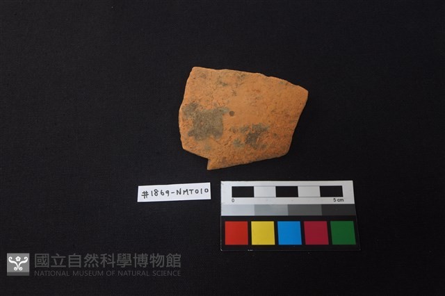 陶片藏品圖，第1張