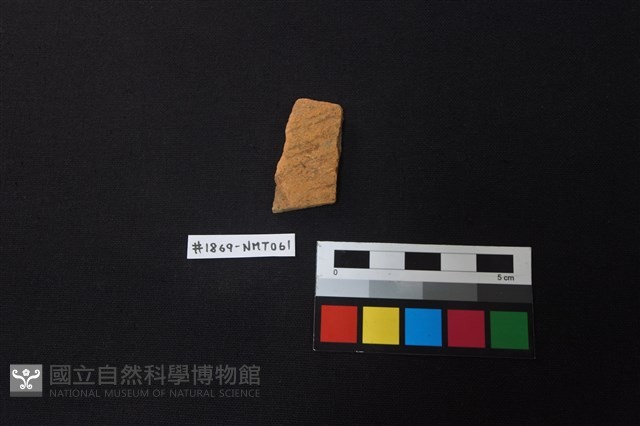 陶片藏品圖，第1張