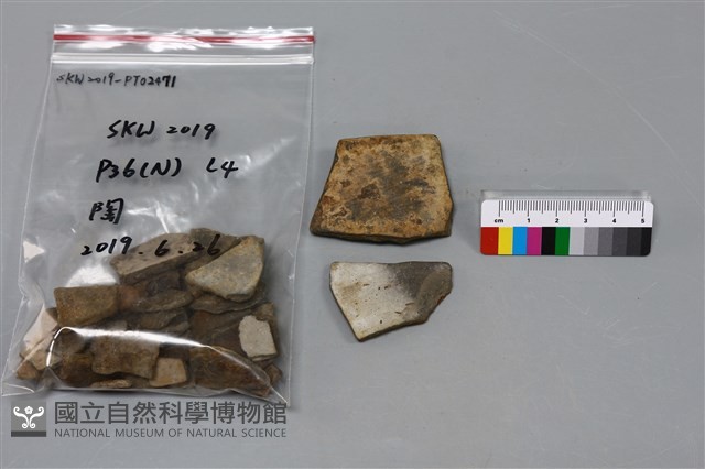 陶片藏品圖，第1張